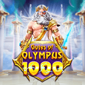 Cổng Olympus 1000 H196A