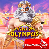 Cổng Olympus H196A